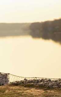 Шлюха Нелли 38788